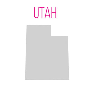 Lehi, Utah - Lash Lift - Minkys