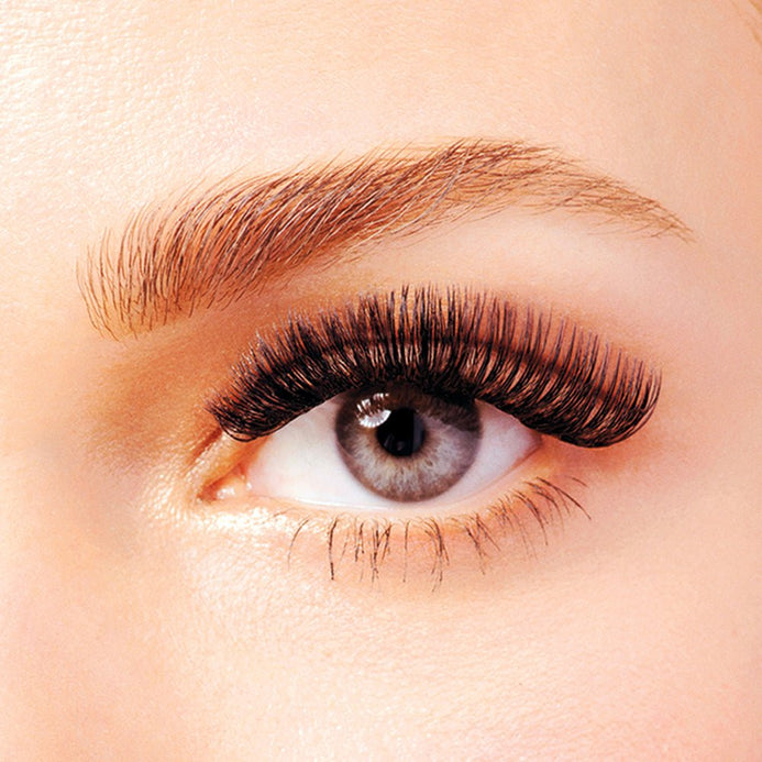 Volume Eyelash Extensions 0.03 Variety Trays – Minkys
